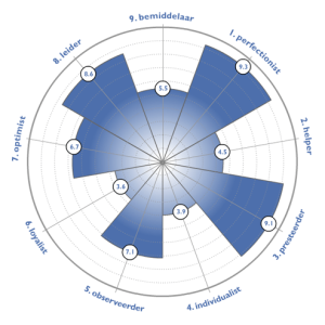 Enneagram persoonstypentest